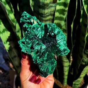 LG Natural Malachite Crystal - for major healing and self transformation - heart chakra crystal - raw malachite