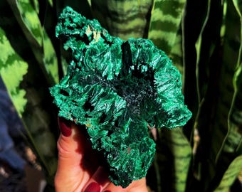 LG Natural Malachite Crystal - for major healing and self transformation - heart chakra crystal - raw malachite