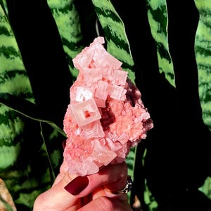 May include: A large pink Himalayan salt crystal cluster with a rough, natural texture. The crystal is composed of many small, cubic crystals that are clustered together.