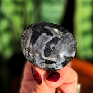 May include: A polished, oval-shaped stone with a marbled pattern of black, gray, and white. The stone is held in a hand with red nail polish, with a blurred green background.