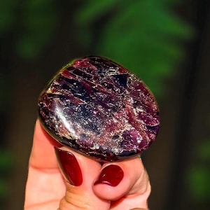 May include: A polished, irregular-shaped garnet gemstone displaying deep burgundy and dark purple hues with internal crystalline fractures and reflective surfaces. The stone features a smooth, rounded texture with visible light reflections.