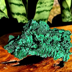 Natural Malachite Crystal for major healing and self transformation - heart chakra crystal - raw malachite