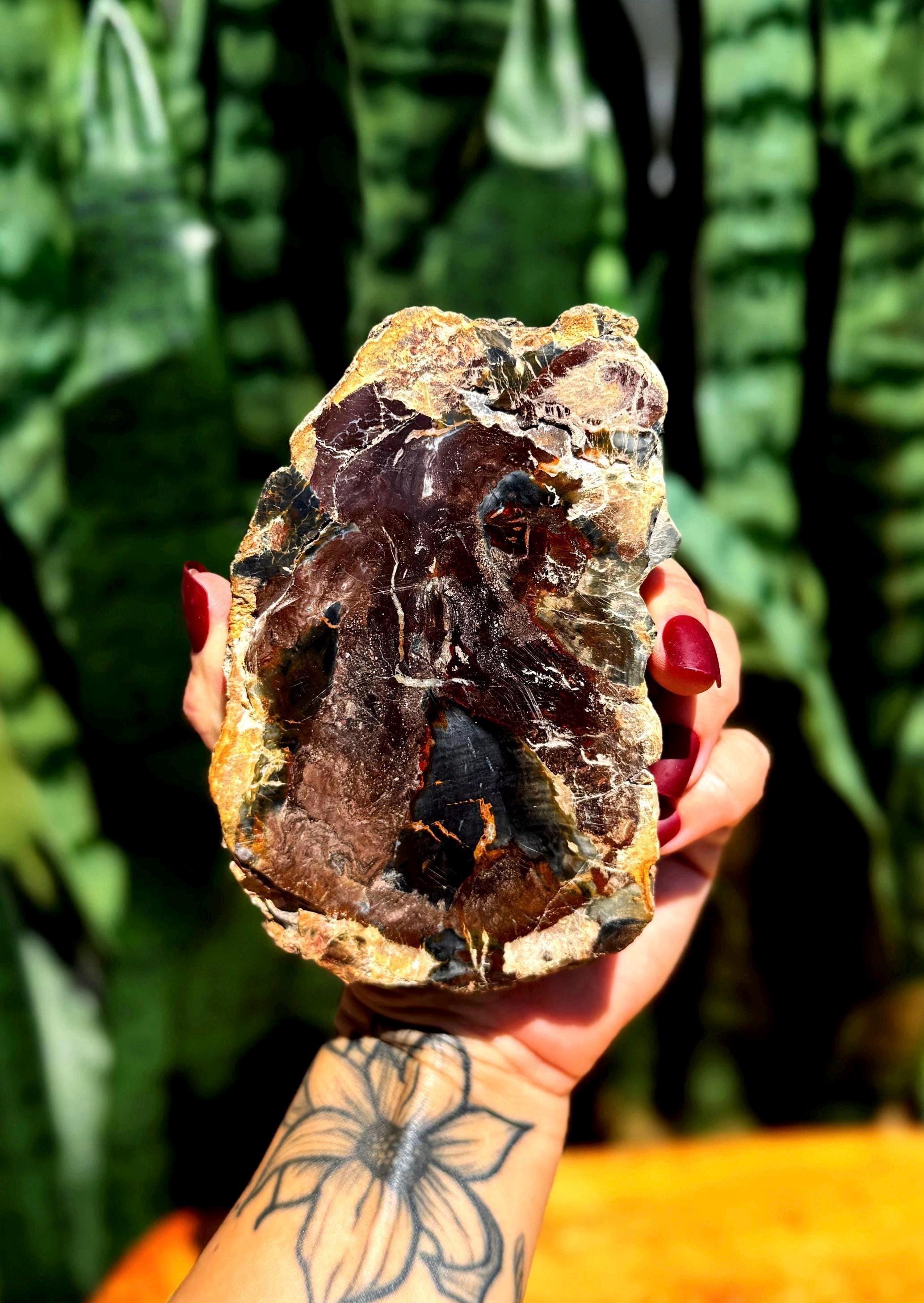 化石化した木の板 - エネルギーを安定させ、バランスをとる - ルート