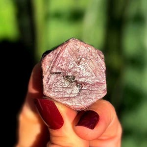 May include: A faceted, pink crystal with a textured surface. The crystal is held in a hand with red nail polish, set against a blurred green background. The crystal's shape is geometric, with visible facets.