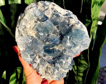 Géode en cristal de célestite - cristal de guérison - cristal du chakra de la gorge - « cristal des anges » - cristal bleu