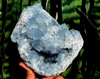 Géode en cristal de célestite - cristal de guérison - cristal du chakra de la gorge - « cristal des anges » - cristal bleu