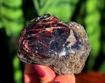 Red Garnet crystal - 1/2 polished, 1/2 natural - large crystal for vitality and manifestation