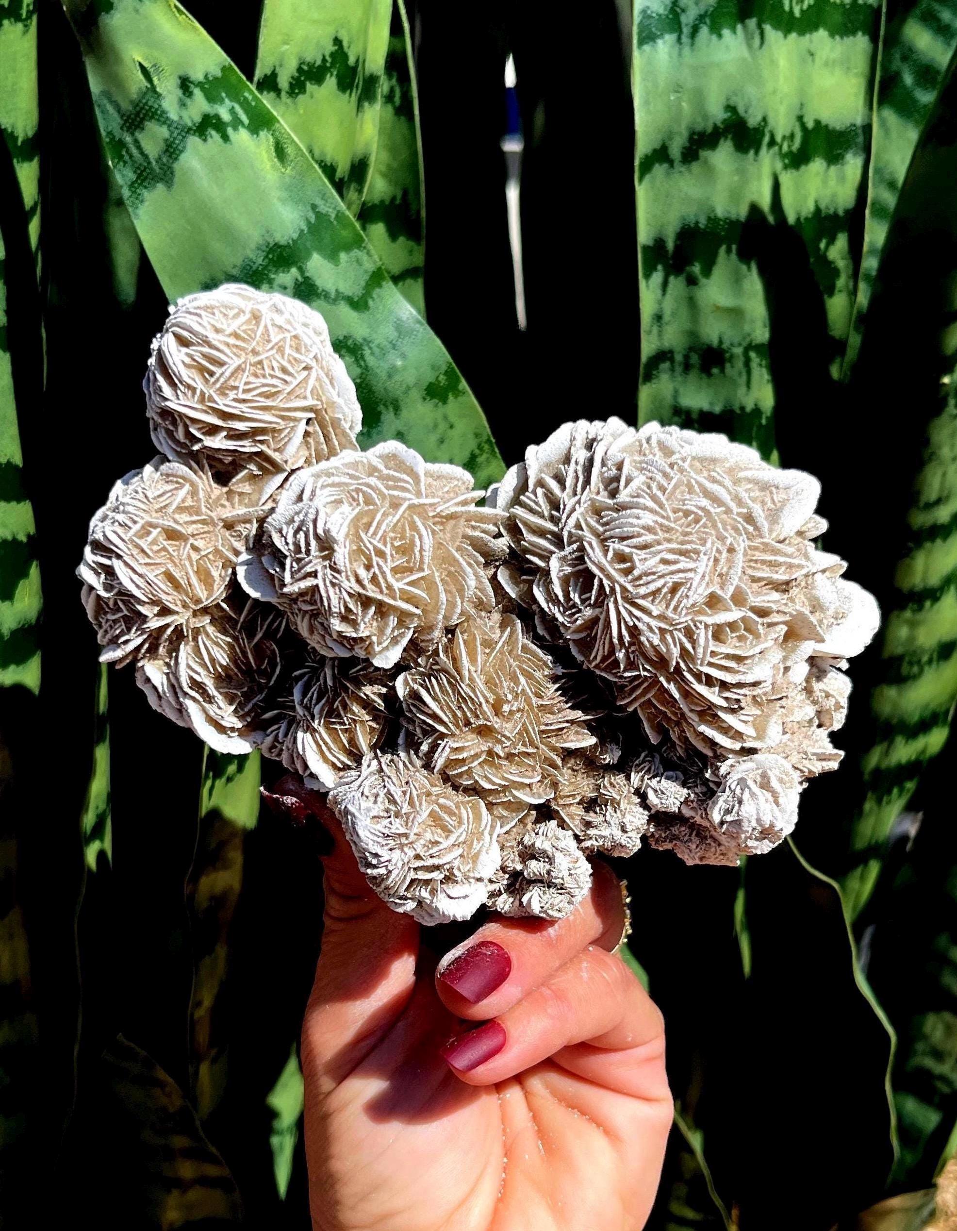 Desert rose crystal - Etsy 日本