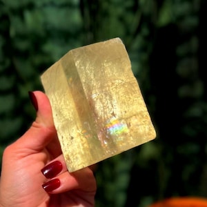May include: A translucent, yellow calcite crystal with a rectangular shape. The crystal has a rough, natural texture and displays a rainbow-like iridescence. The background is a blurred view of green foliage.
