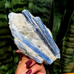 Blauer Kyanit mit Quarz Kristall - für reinigende Energie + totale Chakra Ausrichtung - blauer Kyanit Kristall