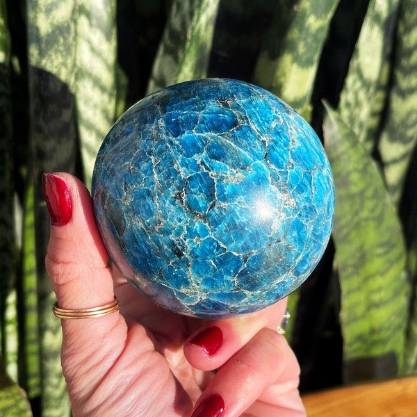 Blauwe Apatiet bol met standaard - Derde Oog chakra kristal voor verdieping van intuïtie