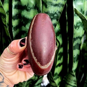 Shiva Lingam Egg - for increased vitality & pranic energy - balancing masculine and feminine - Shiva Lingam crystal