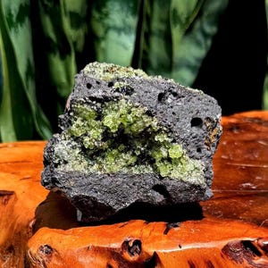 Cristal de peridoto natural em rocha vulcânica de basalto - Pedra do mês de agosto