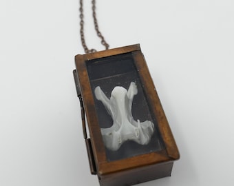 Seagull Vertebra Bone Shadowbox Pendant Necklace