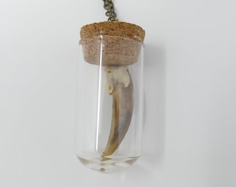 Badger Claw in Vial Pendant Necklace