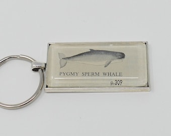 Pygmy Sperm Whale Keychain