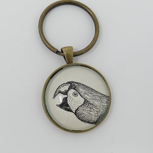 Parrot Vintage Illustration Keychain