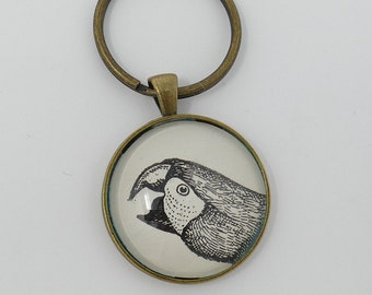 Parrot Vintage Illustration Keychain