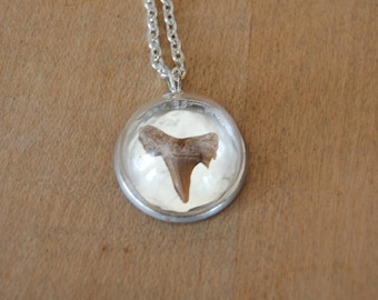 Shark Tooth Pendant Necklace