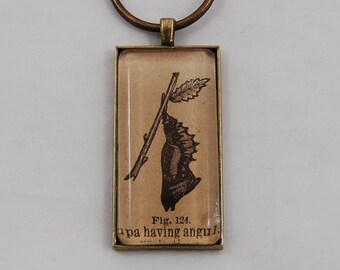 Chrysalis Vintage Illustration Keychain