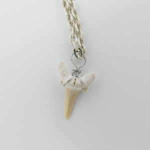 Shark Tooth Pendant Necklace