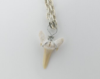 Shark Tooth Pendant Necklace