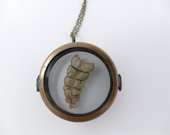 Snake Rattle Shadowbox Pendant Necklace