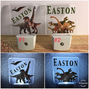 Dinosaur, LED Nightlight, Dinosaurs, Sensor Night Light, Nursery Room, Personalized Night Light, Dinosaur Night Light