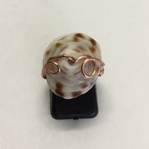 Puka Shell Spiral Wrap, Wire Wrapped Jewelry, Molokai Puka Shell, Puka Shell, Cone Seashell, Hawaiian Seashell, Hawaiian Puka Shel