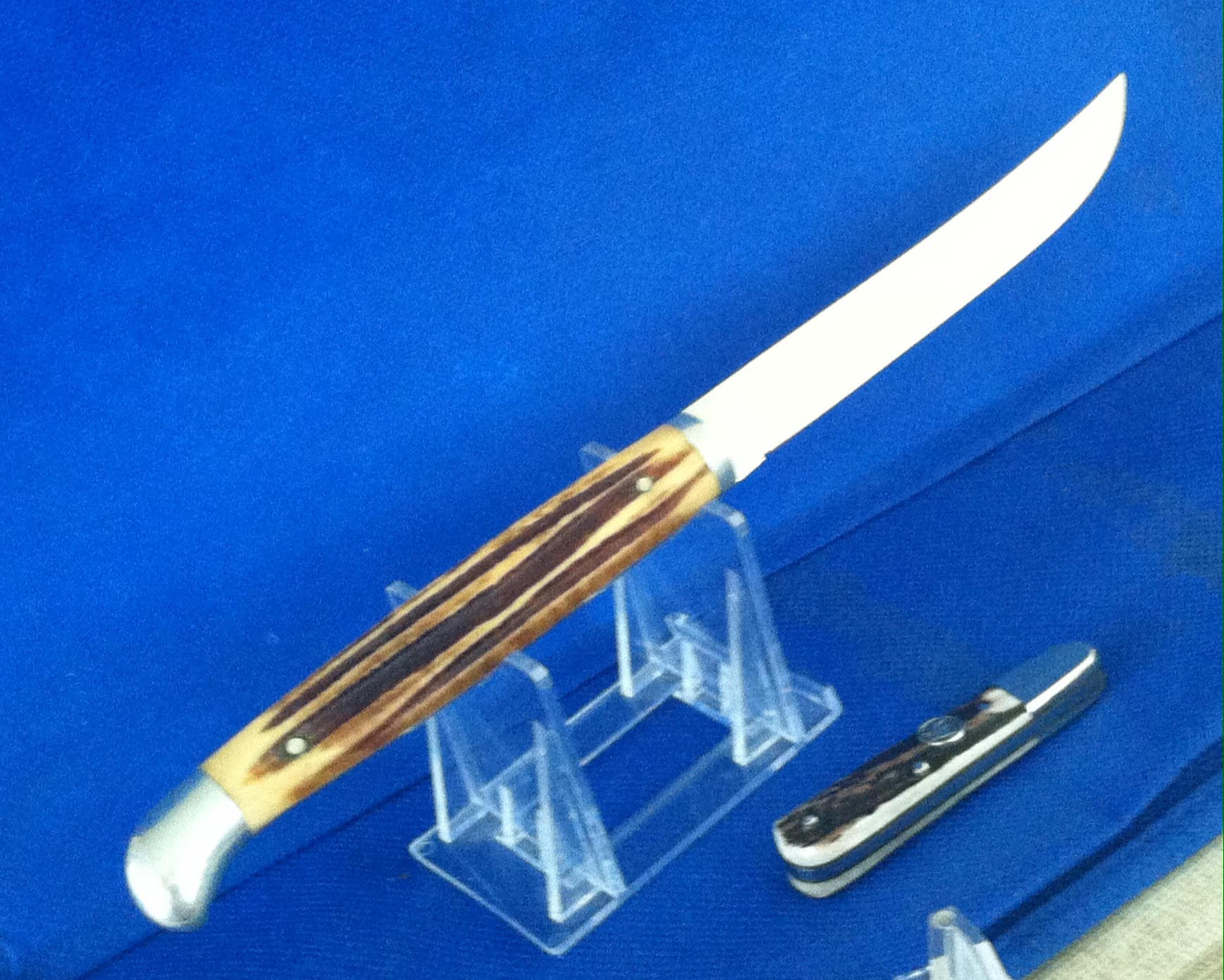 QUEEN CUTLERY Fixed Blade Bone Handle Knife Etsy