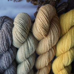 Confezione di filati di lana tinta botanicamente "Linden Blossom" nelle tonalità di giallo, verde, pesca e marrone. 250 g