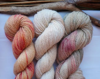 Botanically Dyed Multicolor Sock Yarn Pack / Plant Dyed Fingering Yarn Set of 3 Skeins / Variegated Wool