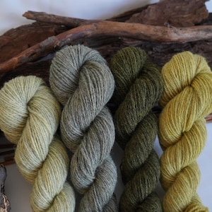 Pflanzengefärbte Fingering Wool Yarn Box in Farbverlauf Erdtöne / 200 gramm