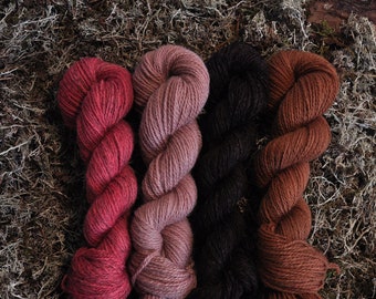 Ensemble de fils de laine teints à la main « Baies d’automne » dans les couleurs rose et brune, poids de doigté, 200 g