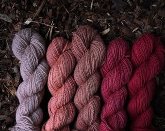 Lot de laines teints en dégradé rouge et rose, 250 g / Teint à la main avec des plantes