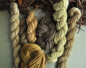 Plant dyed mini skeins, tapestry yarn set, brown wool yarn set, weaving yarn pack, natural wool, earth color yarn, beige, yellow, art yarn