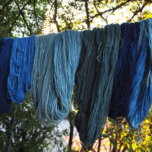 Blue Indigo pigment for natural dyeing, Indigofera Tinctoria powder for plant dyeing, 10 200 g imagem 4