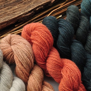 Hand Dyed Yarn Surprise Mystery Pack - 10 Plant Dyed Mini Skeins