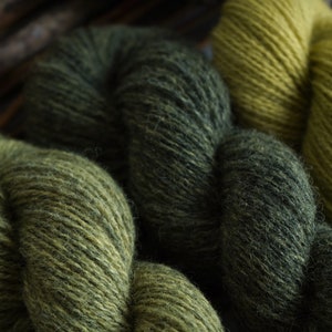 Plant Dyed Fingering Weight Wool Yarn Box in Gradient Earthy Green Shades , 150 grams image 6