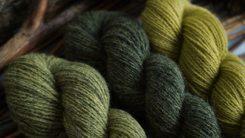 Plant Dyed Fingering Weight Wool Yarn Box in Gradient Earthy Green Shades , 150 grams image 6