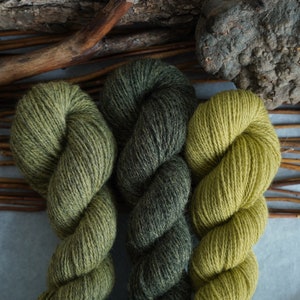 Plant Dyed Fingering Weight Wool Yarn Box in Gradient Earthy Green Shades , 150 grams