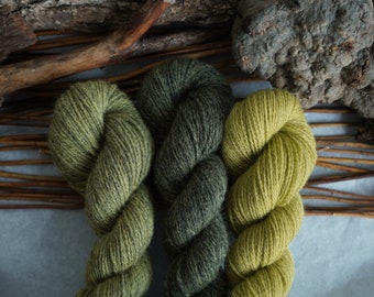 Plant Dyed Fingering Weight Wool Yarn Box in Gradient Earthy Green Shades , 150 grams