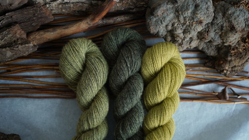 Plant Dyed Fingering Weight Wool Yarn Box in Gradient Earthy Green Shades , 150 grams image 1