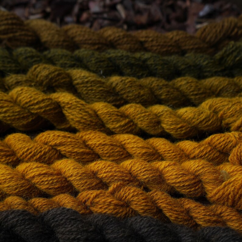May include: Close-up of several skeins of yarn in shades of brown, yellow, and green. The yarn is arranged in rows, with the darkest shades at the bottom and the lightest shades at the top.