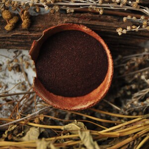 Op de afbeelding: Een kleine, ronde terracotta kom gevuld met een donkerrood poeder. De kom is omringd door gedroogde, bruine plantenstengels en bladeren.