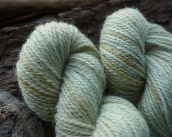 Plant Dyed Speckled Green Wool Yarn In Worsted Weight, Handdyed
