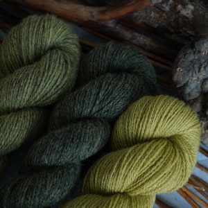 Plant Dyed Fingering Weight Wool Yarn Box in Gradient Earthy Green Shades , 150 grams image 3