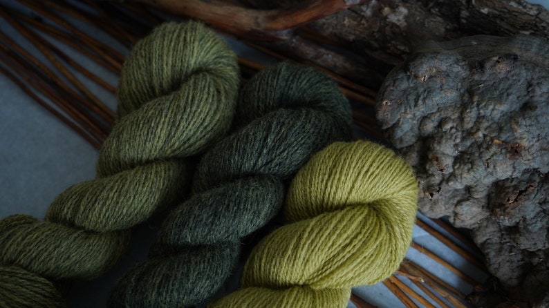 Plant Dyed Fingering Weight Wool Yarn Box in Gradient Earthy Green Shades , 150 grams image 3