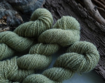 Plant Dyed Light Olive Green Wool Yarn In Worsted Weight