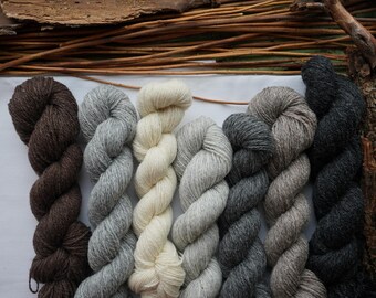 Pack of 7 Gradient Fingering Weight Natural Wool Yarn / White, Grey, Black, Brown